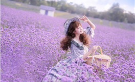 每日生肖运势2025年10月16日(八月二十五)