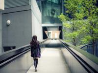 阿莎莉娅每周星座运势（12.28-1.3)