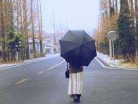 女巫树洞一周星座运势（11.28-12.4）