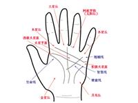 手相看你是否有财运线