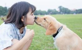 保加利亚嘉珊每日运势2018年1月11日