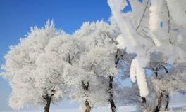 小雪的诗句，最经典的十首小雪诗词