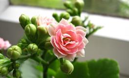 唐绮阳/唐立淇今日运势2022年4月1日