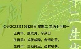 秦阳明每日生肖运势2022年10月25日