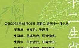 秦阳明每日生肖运势2022年12月6日