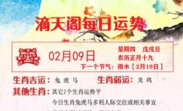 滴天居士2023年2月9日生肖运势