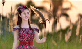 占星妖妖十二星座每日运势(2024-2-11)