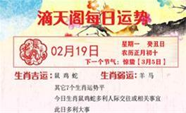 滴天居士2024年2月19日生肖运势