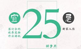 闹闹女巫店今日运势2024年7月25日