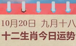 十二生肖今日运势2024年10月20日