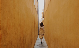 Alex大叔双鱼座2025年11月运势