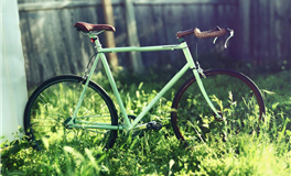 星座女神双子座2025年11月运势