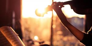 12星座的负面情绪，如何进行有效疗愈？