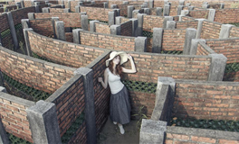 蓝蓝占星处女座2025年12月运势