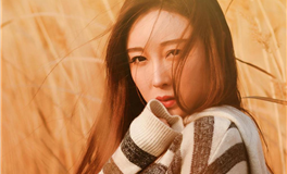 属猪人2026年官运如何