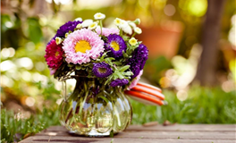 Ezoey徐佩玲处女座一周运势（11.3-11.9）