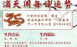 滴天居士2025年11月16日生肖运势