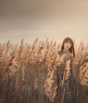 揭秘十二星座的智商与情商，谁更胜一筹？