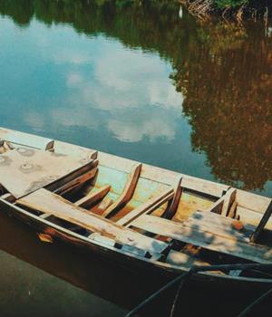 爱莎公主12星座一周塔罗运势（12.1-12.7）