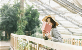 水玲师傅：属牛人2026年1月运势