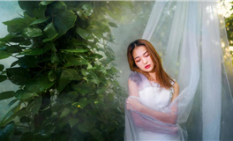 易鑫生肖蛇2026丙午年运势