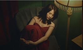 生肖狗2026丙午年整体运程