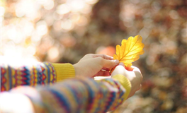 谁是最浪漫的星座？十二星座浪漫排行榜揭秘