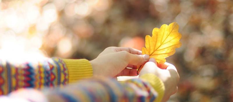 谁是最浪漫的星座？十二星座浪漫排行榜揭秘