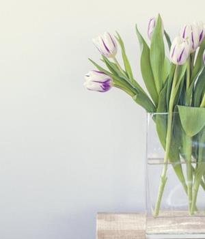 星座巫巫十二星座一周运势12.29-1.4