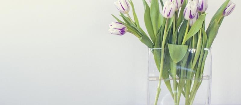 星座巫巫十二星座一周运势12.29-1.4