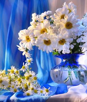 星座女神十二星座2026年运势