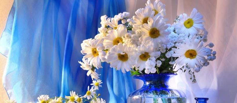 星座女神十二星座2026年运势