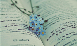 看星星的Kiddo一周星座运势（1.25-1.31）