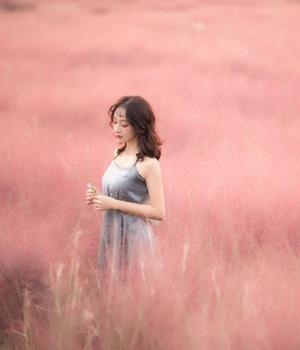 海百合十二星座本周运势（2.2-2.8）