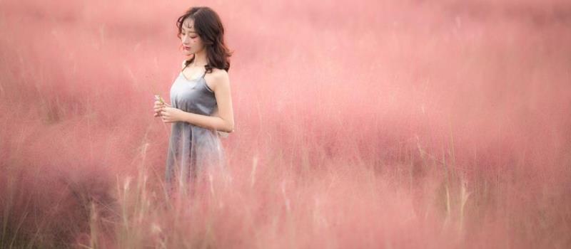 海百合十二星座本周运势（2.2-2.8）