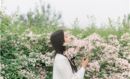 李云天：本周生肖运势（2.15-2.21）