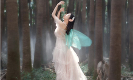 苏珊米勒2026年3月金牛座运势