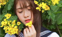 莫测之星白羊座2026年4月运势