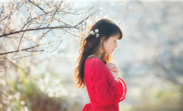 董易姗每日生肖运势2026年4月28日