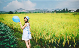 爱莎公主12星座一周塔罗运势（4.27-5.3）