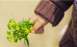 李云天：本周星座运势（5.3-5.9）