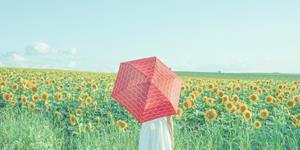 李云天：本周生肖运势（4.19-4.25）