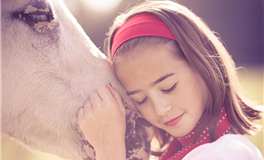 巨蟹座感情细腻且丰富