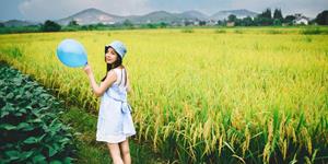 爱莎公主12星座一周塔罗运势（4.27-5.3）