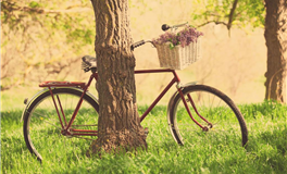 易鑫今日生肖运势2026年4月27日