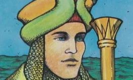 爱莎公主金牛座2026年5月塔罗运势